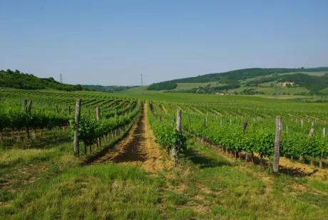 EuroVelo 11 | Véloroute de l'Europe de l'Est