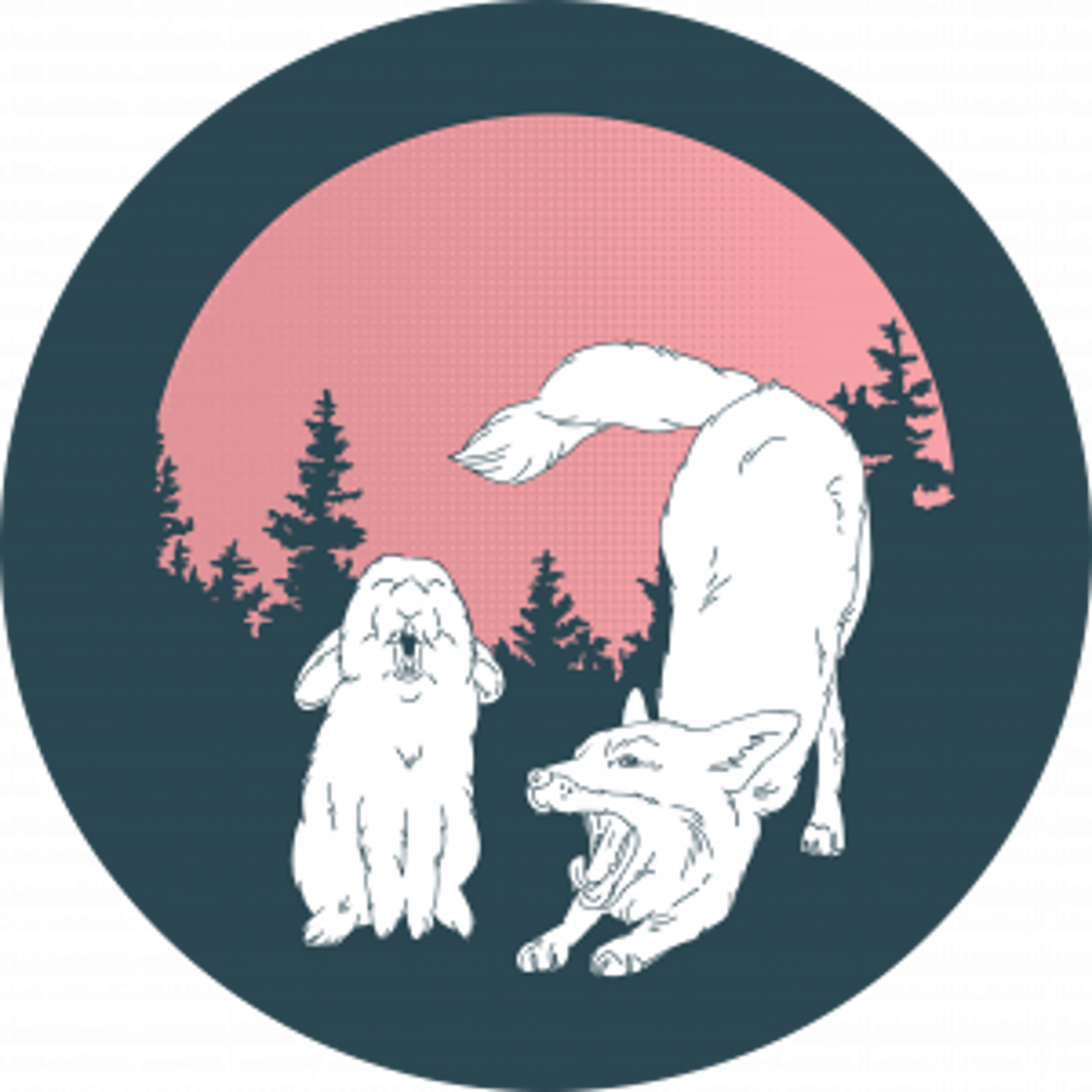 1NITE TENT - Ein Stück Jedermannsrecht, wie Couchsurfen für Zelte