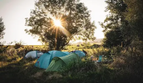 Pedal Festival — Bikepackr